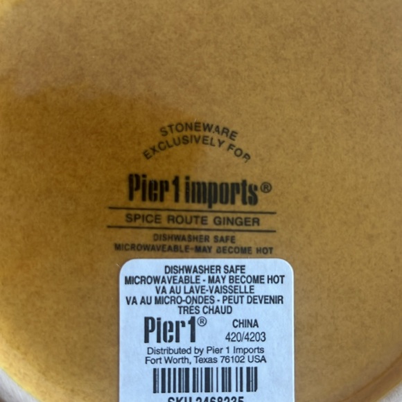 Pier 1 Soup Cereal Bowl Spice Route Ginger Set of 2 NWT Retired - Picture 6 of 6